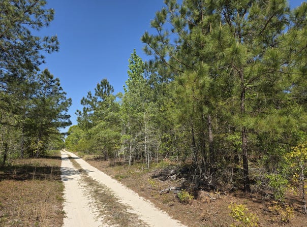 2b Briarwood Drive, Williston, SC 29853