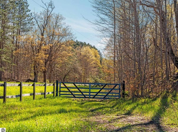 E 20 Road, Mesick, MI 49663