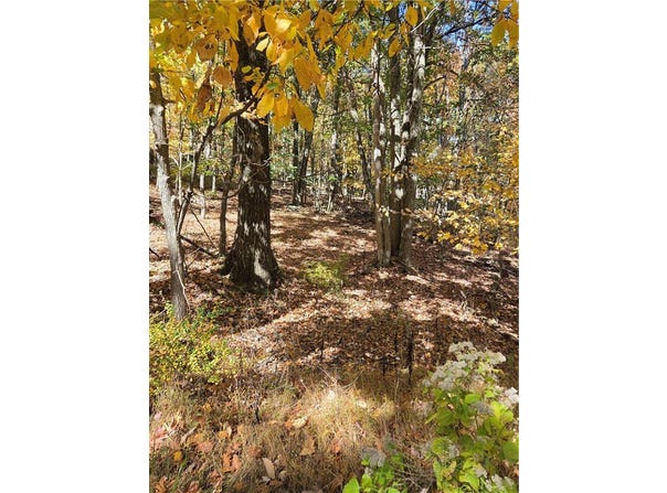 Seneca Road, Mount Pocono Boro, PA 18344