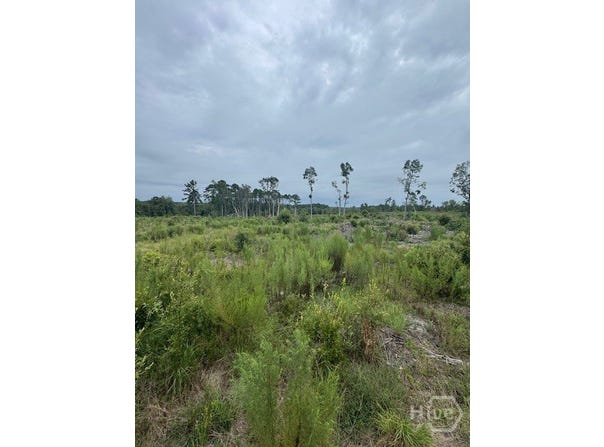 Kennedy Bridge Road, Register, GA 30452