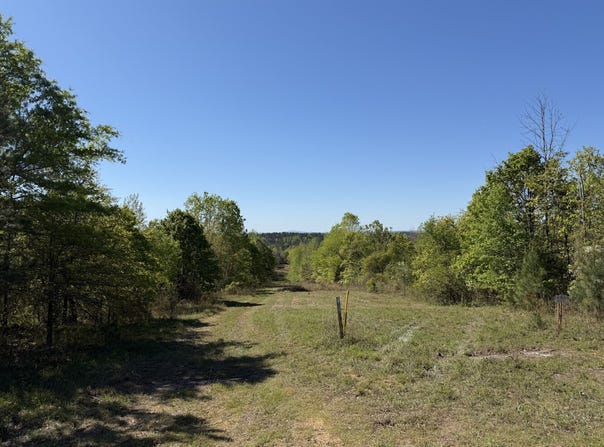 Highway 26, Ragland, AL 35131