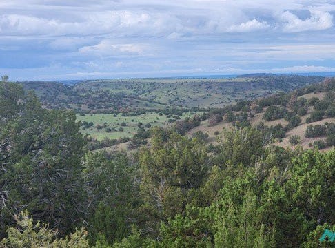21 Wagon Circle, Quemado, NM 87829