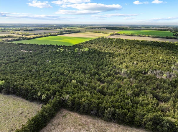 FM 198, Cooper, TX 75432