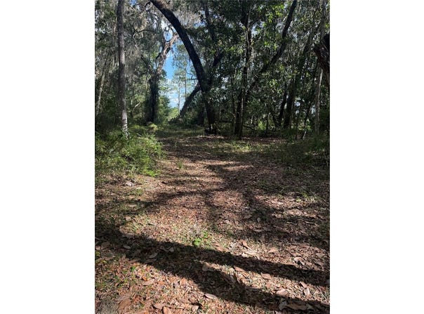 5612 E HIGHWAY 316, CITRA, FL 32113
