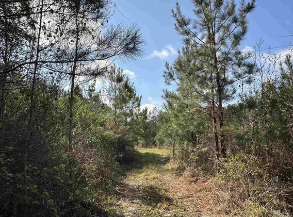 15 AC Snider Rd, Frisco City, AL 36445