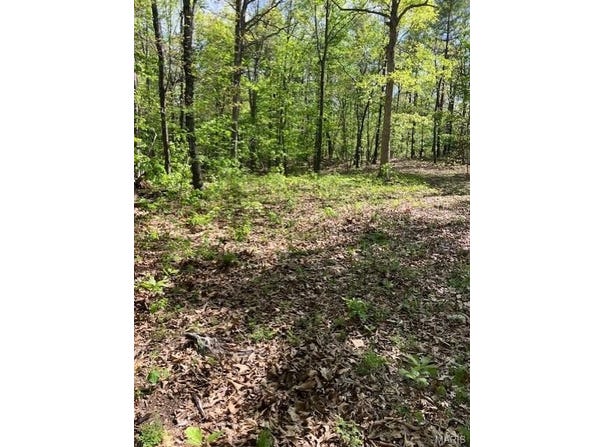 283 Madison CR 410, Fredericktown, MO 63645