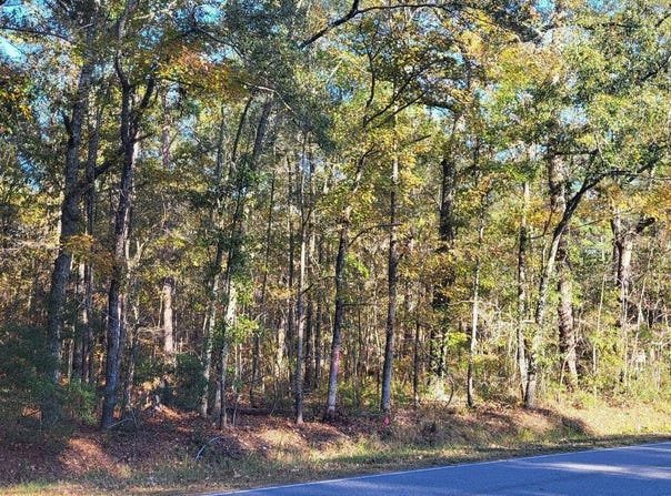 407 Wade Hampton Road, Hampton, SC 29924