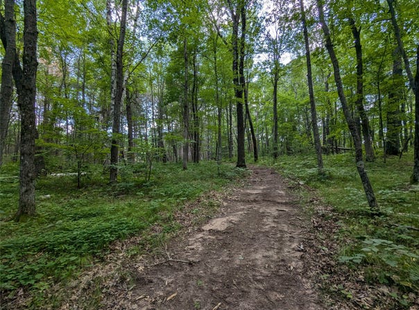 Fosmo Drive lot: 2, Webster, WI 54893
