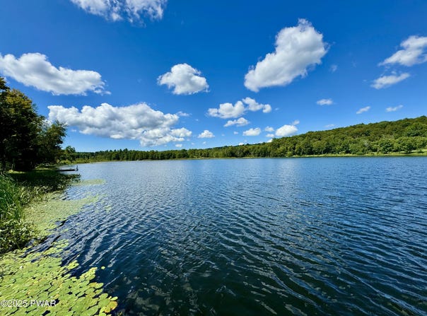 76 S Shore Road, Pleasant Mount, PA 18453