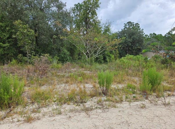 NE 67TH Street, BRONSON, FL 32621