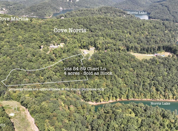 Cheri Lane lot: 54-59, Caryville, TN 37714