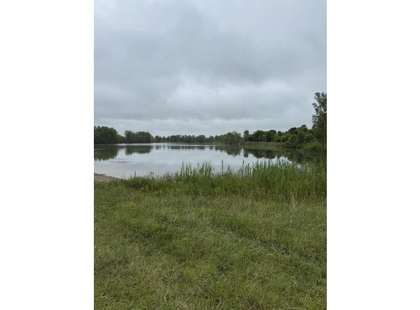 6971 Hartel Road, Potterville, MI 48876
