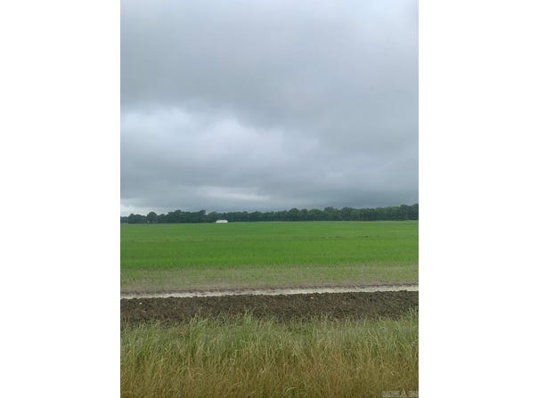 Delaplaine, AR 72425