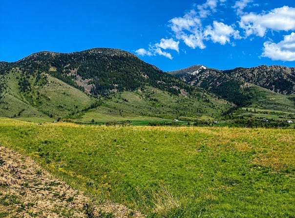 775 Grey Fox Loop, Inkom, ID 83245