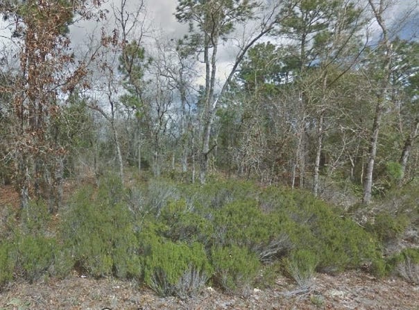 217 CYPRESS Street, INTERLACHEN, FL 32148