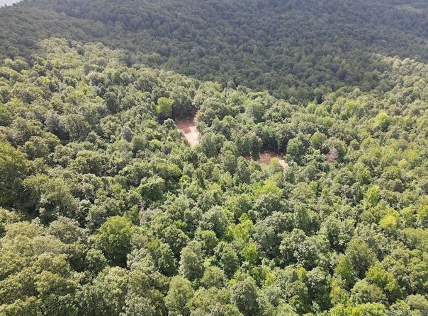 CR5, Witt Springs, AR 72686