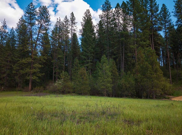 Meadow View Rd, Garden Valley, ID 83622