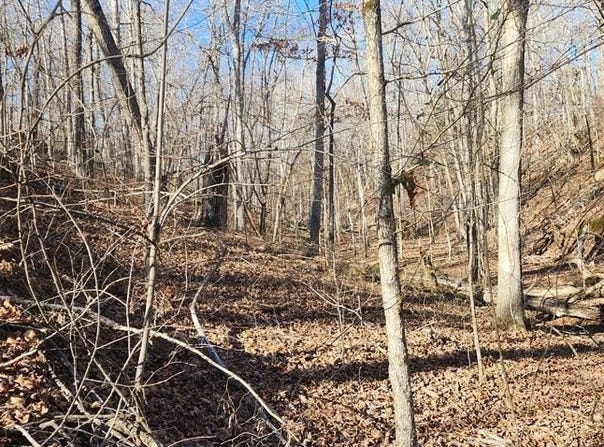 id1 Shady Grove, HOLLADAY, TN 38341