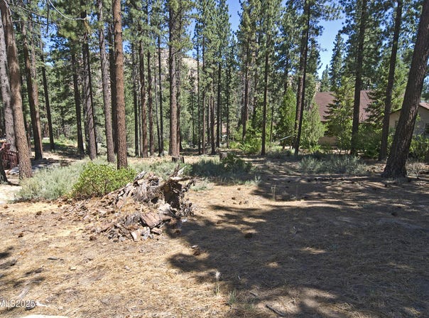 50 Pinon Road, Markleeville, CA 96120