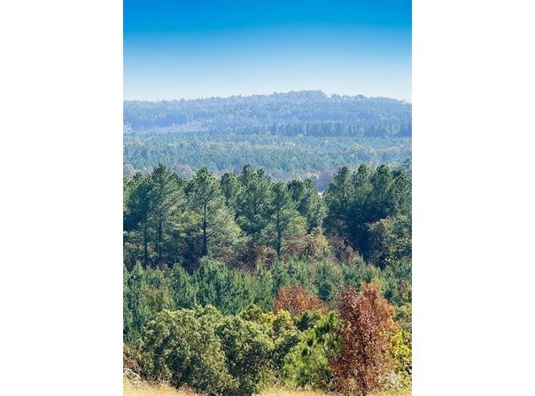 187 Sliding Hill Trail, Broken Bow, OK 74728