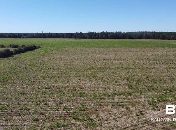 5600 Block Highway 97, Walnut Hill, FL 32568