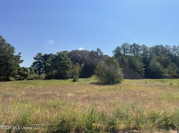 577 Starlanding, Hernando, MS 38632