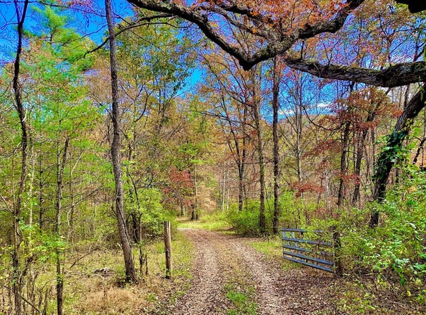 Seebert Road, Hillsboro, WV 24946