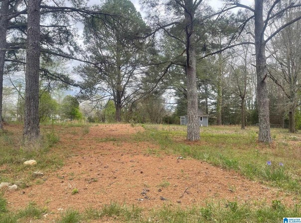 7TH WAY lot: 11, CARBON HILL, AL 35549
