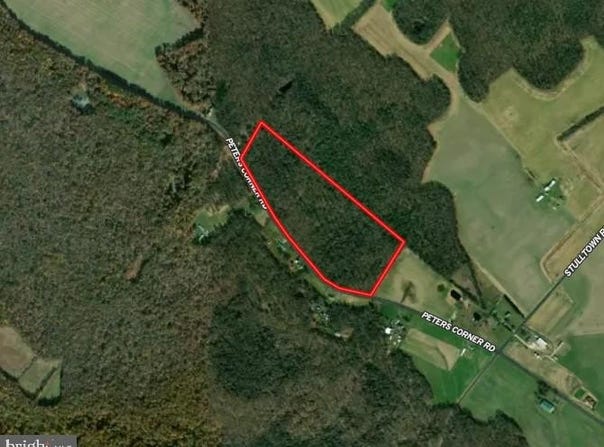 PETERS CORNER Road, SUDLERSVILLE, MD 21668