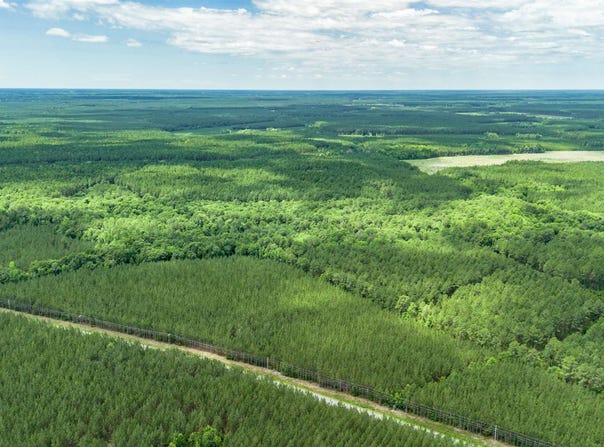 Tract E Ten Acre Rd., Andrews, SC 29510