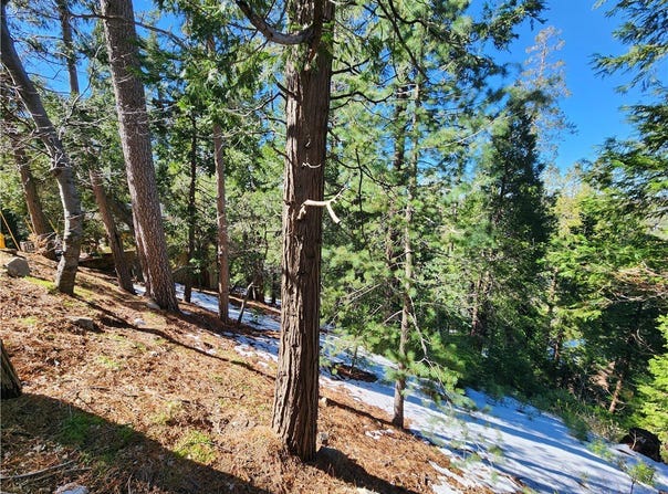 26236 Boulder Lane, Twin Peaks, CA 92391