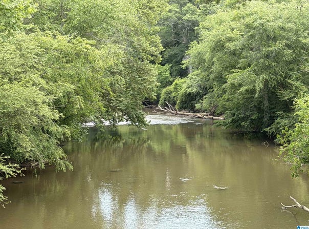 COUNTY ROAD 509 lot: 1, WOODLAND, AL 36280