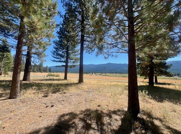 412 Valley Ranch Drive, Clio, CA 96106