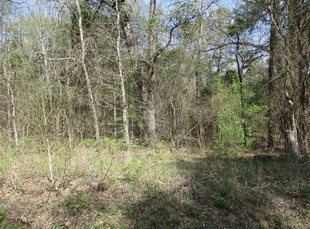 County Road 2958, Alba, TX 75410