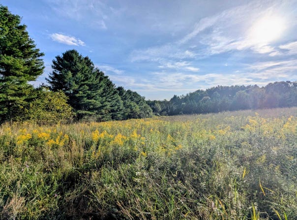 High Rock Hill Road, Pilot, VA 24138