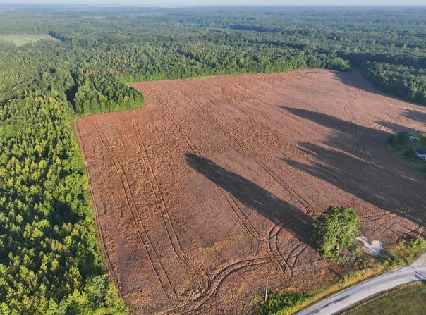 County Road 87, New Albany, MS 38652