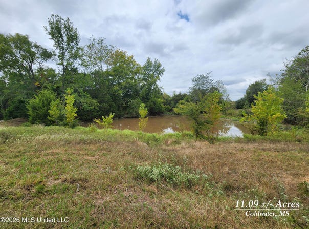 11.09 Bub Jamison Road, Coldwater, MS 38618