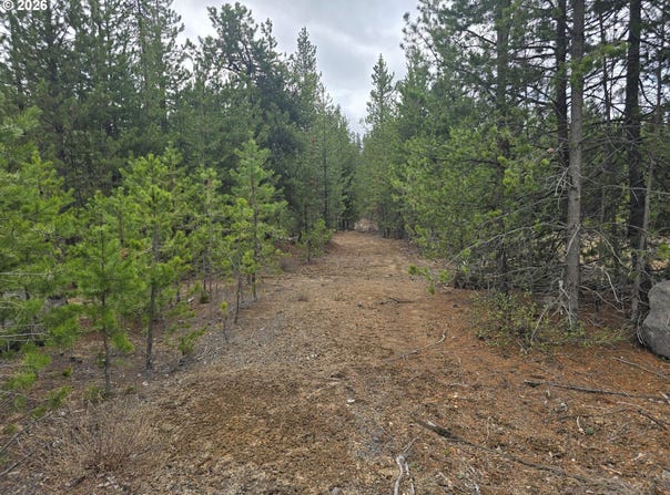 59 Royce Mountain Way, CrescentLake, OR 97733