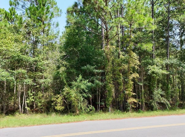 Joe Mack Smith Street, Panacea, FL 32346
