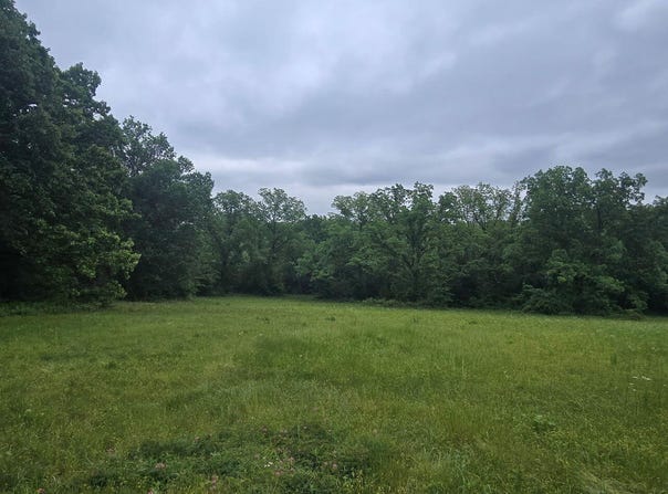 12668 E Panama Road, Nevada, MO 64772