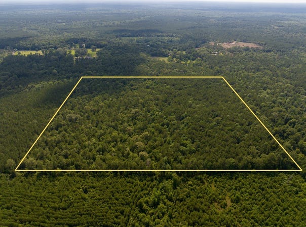 Off Webb Spikes Road, DeRidder, LA 70653