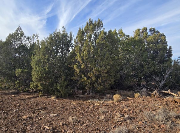 2393 E Starry Night Way lot: 15, Williams, AZ 86046