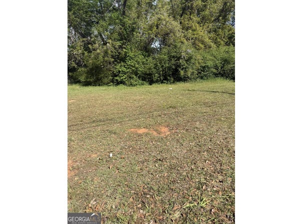 417 Barnesville Street, Thomaston, GA 30286