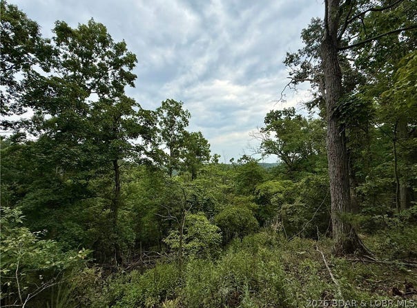 OZARK HILLS, Edwards, MO 65326