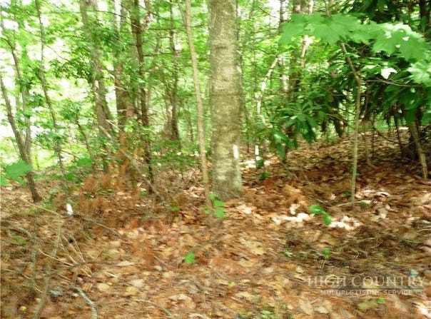 360 Kenmure Drive, Hendersonville, NC 28731