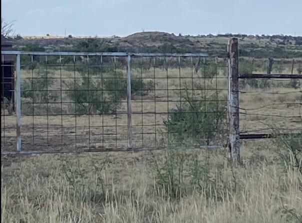 Terrapin, Megargel, TX 76370