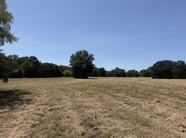 County Road 4310, Avery, TX 75554