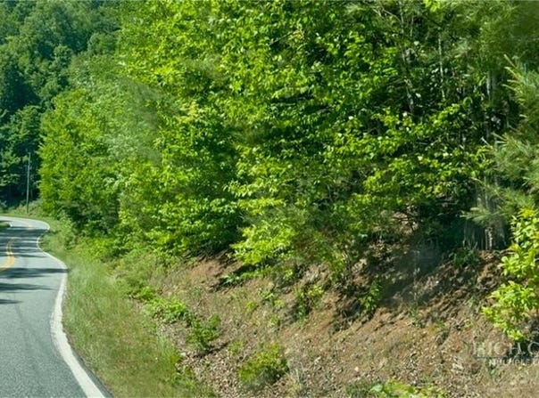 Wildcat Road, Deep Gap, NC 28618