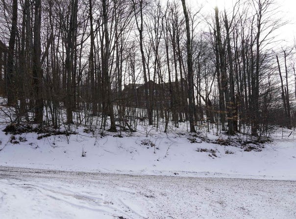 45 Winterset Drive, Davis, WV 26260