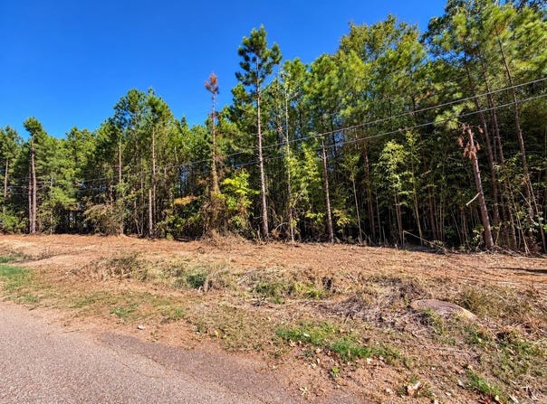 930 Ford Drive, Fordyce, AR 71742-7034